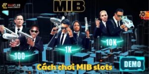 MIB slots